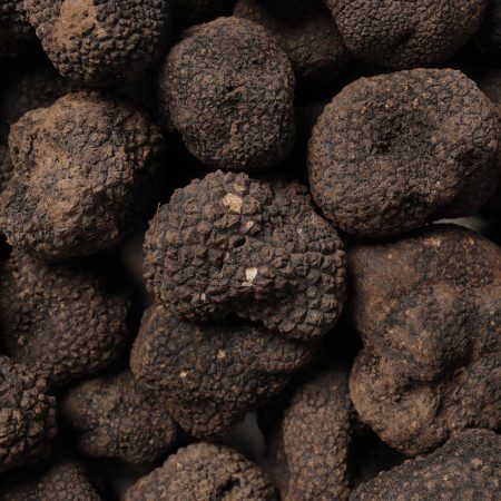sassone-tartufo-nero-estivo-hero-top-1
